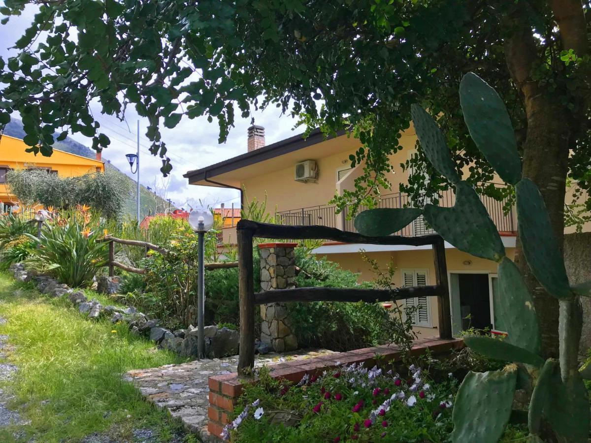 B&B Villa Degli Ulivi Praia a Mare Exterior photo
